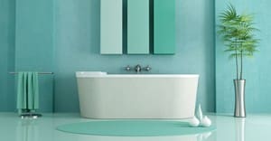 Bathroom Cleaning - Kelowna Cleaning Services All About Details