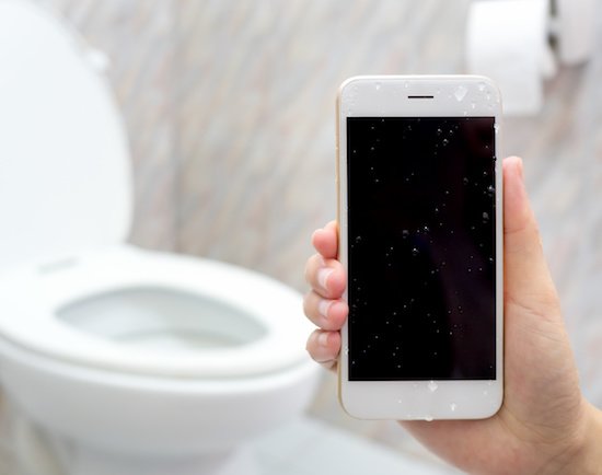 A person holding a cellphone that has just fallen into the toilet 